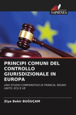 Principi Comuni del Controllo Giurisdizionale in Europa