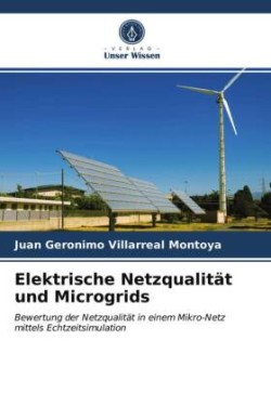 Elektrische Netzqualität und Microgrids