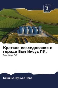 Краткое исследование о городе Бом Иисус П&#104