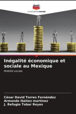 Inégalité économique et sociale au Mexique