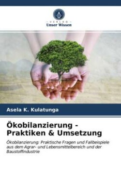 Ökobilanzierung - Praktiken & Umsetzung