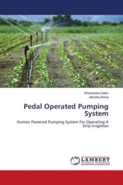 Pedal Operated Pumping System