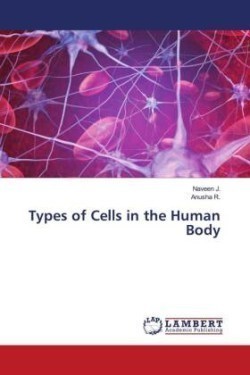 Types of Cells in the Human Body