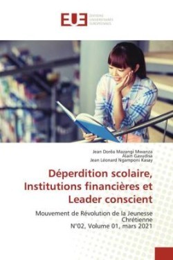 Déperdition scolaire, Institutions financières et Leader conscient