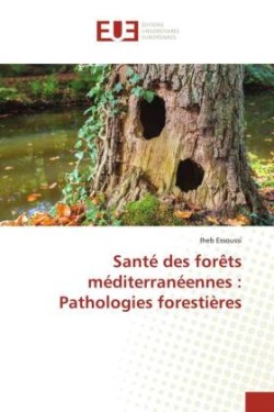 Santé des forêts méditerranéennes