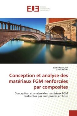 Conception et analyse des matériaux FGM renforcées par composites
