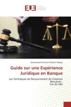 Guide sur une Expérience Juridique en Banque