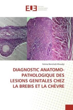 Diagnostic Anatomo-Pathologique Des Lesions Genitales Chez La Brebis Et La Chèvre