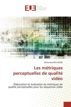 Les métriques perceptuelles de qualité vidéo