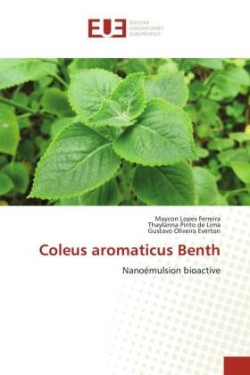 Coleus aromaticus Benth