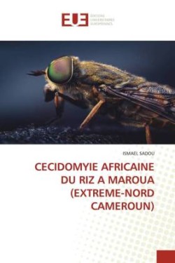 Cecidomyie Africaine Du Riz a Maroua (Extreme-Nord Cameroun)