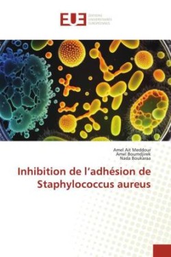 Inhibition de l'adhésion de Staphylococcus aureus