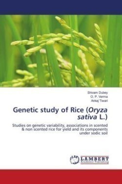 Genetic study of Rice (Oryza sativa L.)