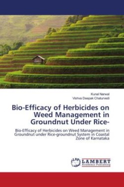 Bio-Efficacy of Herbicides on Weed Management in Groundnut Under Rice-