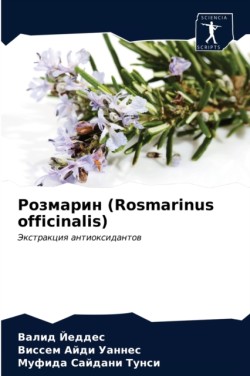 Розмарин (Rosmarinus officinalis)