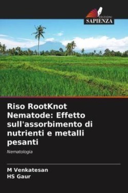 Riso RootKnot Nematode: Effetto sull'assorbimento di nutrienti e metalli pesanti