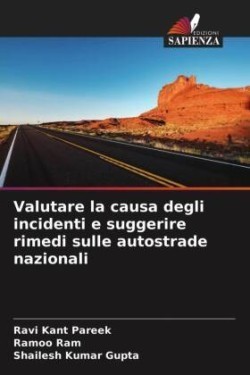 Valutare la causa degli incidenti e suggerire rimedi sulle autostrade nazionali