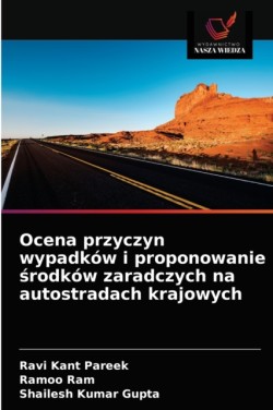 Ocena przyczyn wypadków i proponowanie środków zaradczych na autostradach krajowych