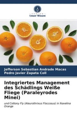 Integriertes Management des Schädlings Weiße Fliege (Paraleyrodes Minei)