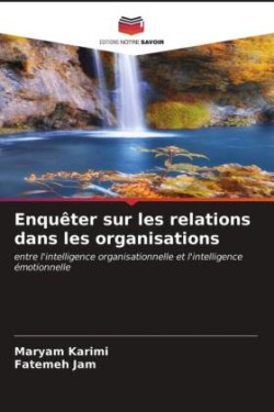 Enquêter sur les relations dans les organisations