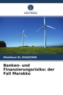 Banken- und Finanzierungsrisiko