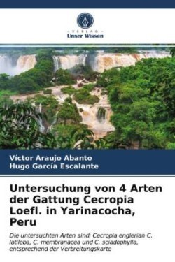 Untersuchung von 4 Arten der Gattung Cecropia Loefl. in Yarinacocha, Peru