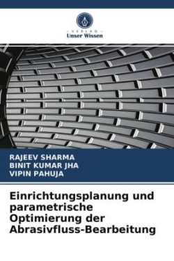 Einrichtungsplanung und parametrische Optimierung der Abrasivfluss-Bearbeitung