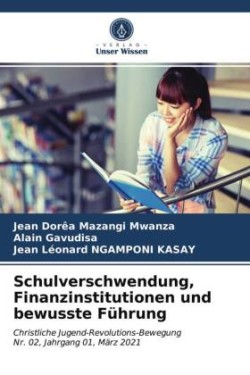 Schulverschwendung, Finanzinstitutionen und bewusste Führung