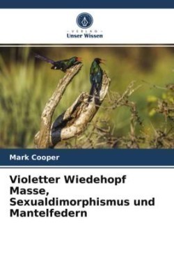 Violetter Wiedehopf Masse, Sexualdimorphismus und Mantelfedern