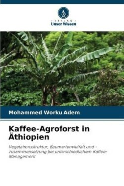 Kaffee-Agroforst in Äthiopien