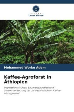 Kaffee-Agroforst in Äthiopien