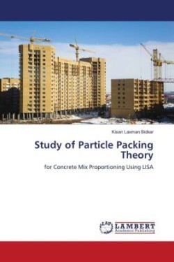 Study of Particle Packing Theory