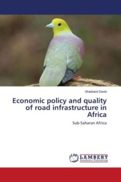 Economic policy and quality of road infrastructure in Africa