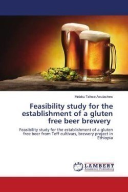 Feasibility study for the establishment of a gluten free beer brewery