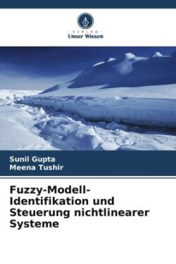 Fuzzy-Modell-Identifikation und Steuerung nichtlinearer Systeme