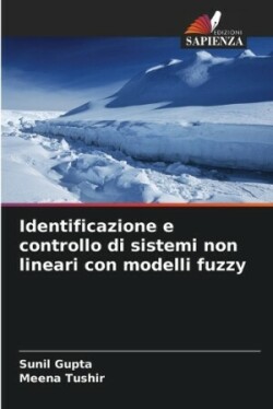 Identificazione e controllo di sistemi non lineari con modelli fuzzy