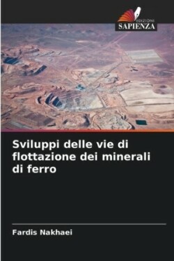 Sviluppi delle vie di flottazione dei minerali di ferro