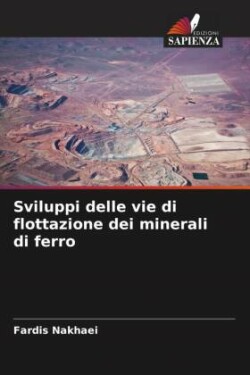 Sviluppi delle vie di flottazione dei minerali di ferro