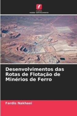 Desenvolvimentos das Rotas de Flotação de Minérios de Ferro