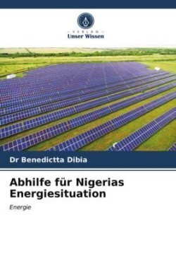 Abhilfe für Nigerias Energiesituation