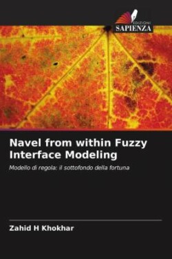 Navel from within Fuzzy Interface Modeling