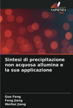 Sintesi di precipitazione non acquosa allumina e la sua applicazione