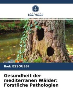 Gesundheit der mediterranen Wälder