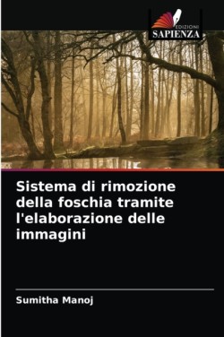 Sistema di rimozione della foschia tramite l'elaborazione delle immagini