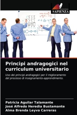 Principi andragogici nel curriculum universitario