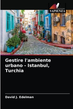 Gestire l'ambiente urbano - Istanbul, Turchia