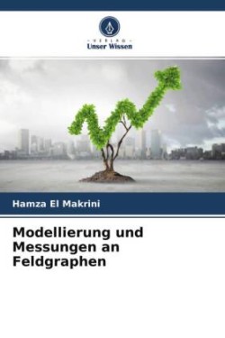 Modellierung und Messungen an Feldgraphen