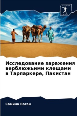 Исследование заражения верблюжьими клещ&
