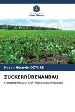 Zuckerrübenanbau