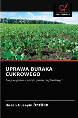 Uprawa Buraka Cukrowego